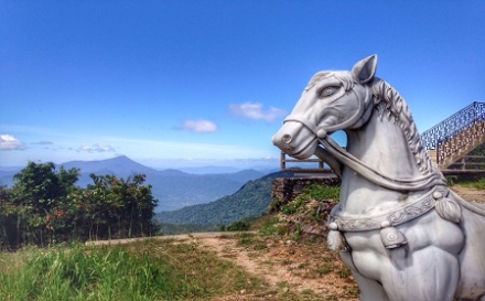 White Horse - Bach Ma National Park Tour
