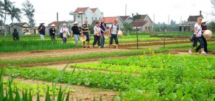 tra que vegetable village - Da Nang to Hoi An